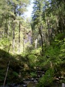 5.5.06 Eagle Creek 087 